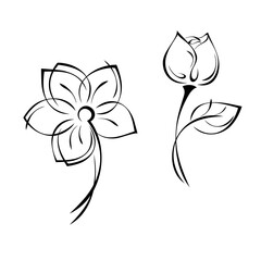 ornament 1537. two separate stylized flowers on short stems in black lines on a white background