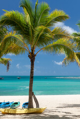 Fototapeta premium coconut tree by the sea turquoise sea water and blue sky in background