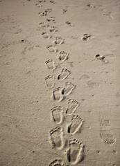 human footprints in the sand at the beach