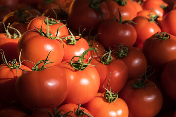 Delicious red tomatoes close-up at summer farmers market.