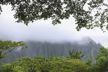 koolau range, Hoomaluhia Botanical Garden, Oahu, Hawaii