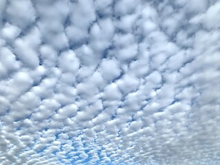 Stickles back in clouds