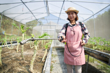 Female farmers spray bio-fertilizer to horticulture.
