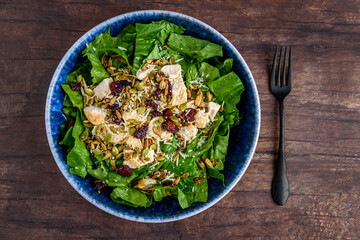 Healthy meal, blue food bowl with romaine lettuce, grille chicken breast, parmesan cheese, and salad topper of roasted nuts and seeds
