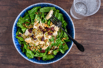 Healthy meal, blue food bowl with romaine lettuce, grille chicken breast, parmesan cheese, and salad topper of roasted nuts and seeds
