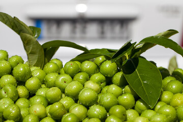 Fresh and Delicious Plum Fruit