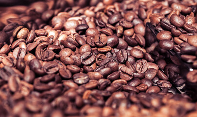 Fresh Raw Roasted Coffee Beans