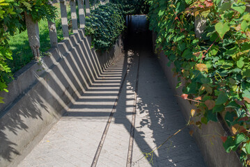Túnel con plantas, Paris, 1 de septiembre de 2018