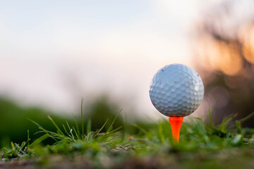close-up of golf ball and club on green with sunset light