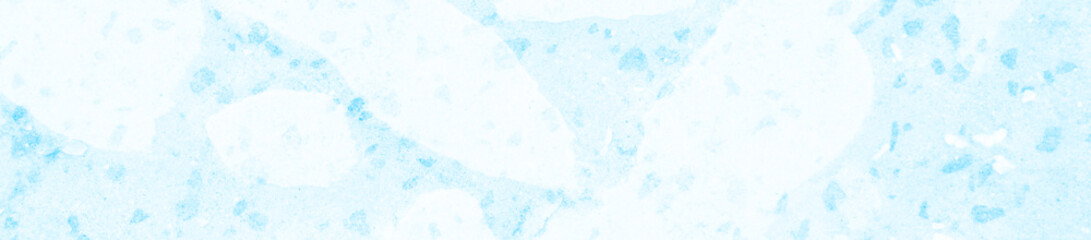 abstract light blue and white colors background for design