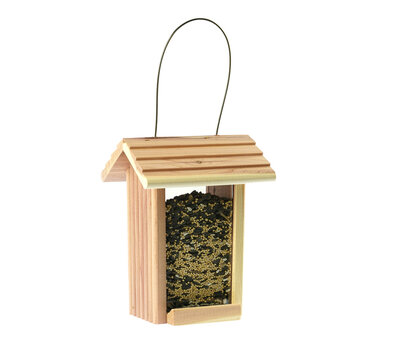 Bird Feeder Isolated On White Background