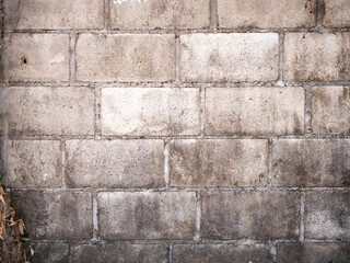 The texture of an unpainted old wall overgrown with ivy. The soil is covered with dry leaves. Moldy wall surface. Stained and moldy concrete blocks.