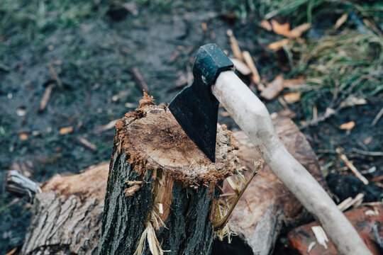 Ax In The Tree Stump Chopping Wood Outdoors Travel