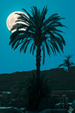 A palm tree in front of a high wall at night in the temple complex of Karnak. The full moon is in the sky. In the foreground are stone blocks that are illuminated by the moonlight.