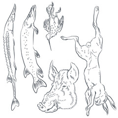 Set of sketches of fishing and hunting trophies. Illustration for internet and mobile website.