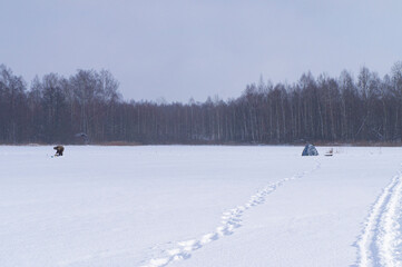 Winter snowy shore of forest lake