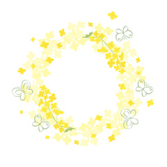 Canola flowers and butterfly background illustration
