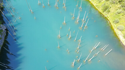 Coniferous trees rise from the depths of a mountain lake. Top view from the drone. On the shore you can see rocks, green forest and grass growing. Kaindy Lake, Kazakhstan. Groups tourists are resting.