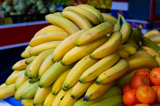Image of fresh bananas on the counter in supermarket, nobody