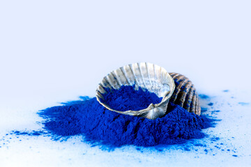 Blue spirulina powder texture in white sea shells on white background. Phycocyanin extract. Natural superfood, vegan, healthy dietary supplement.