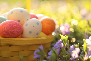 Easter holiday.Easter eggs in a yellow basket in purple spring flowers on a blurred  garden background in the morning sun.Spring festive easter background.Spring Religious Holiday Symbol