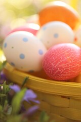 Fototapeta na wymiar Easter holiday.Easter eggs in a yellow basket in purple spring flowers on a blurred spring garden background .Spring festive easter background.Spring Religious Holiday Symbol