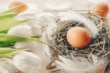 Easter egg. Happy Easter decoration: natural colour eggs in basket with spring tulips, white feathers on wooden table background. Traditional decoration in sun light.
