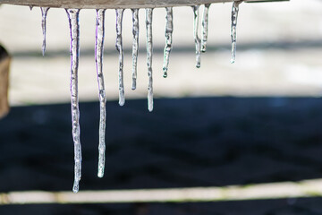 Long icicles melting in winter and spring from December to January  as frozen water with frosty ice...
