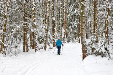 Beautiful snow-covered forest with trees and skier in cold day