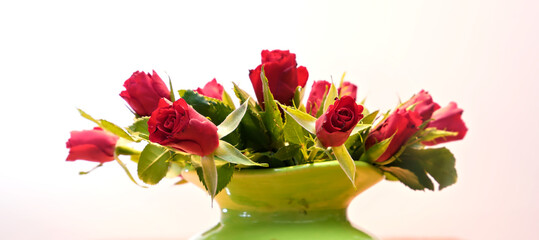 bouquet of red roses on a light background 