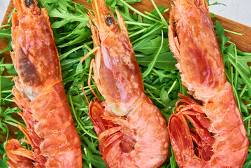 Red raw prawns, close up. Fresh shrimps with rucola. Seafood background