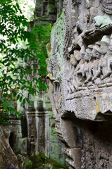The view of Ta Prohm temple in Siem Reap in Cambodia. Angkor complex.