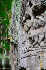 The view of Ta Prohm temple in Siem Reap in Cambodia. Angkor complex.