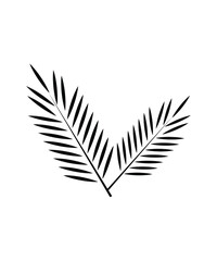 leaf icon,vector best flat icon.