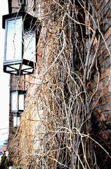 Stare gotyckie lampy wiszące na budynku. - obrazy, fototapety, plakaty