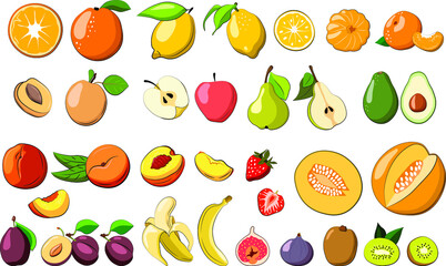 Assortment of different fruits, vector graphics, apple, strawberry, pomegranate, avocado, orange, lemon, kiwi, peach, mandarin, melon, pear, fig, individual on a white background.