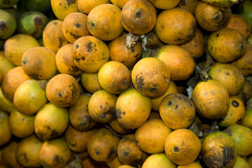 Heap of Betel Nut Crop