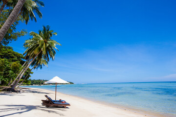 Obraz na płótnie Canvas beach with coconut trees