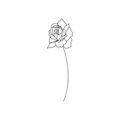 Rose One Line Drawing. Continuous Line of Simple Flower Illustration. Rose Abstract Contemporary Botanical Drawing for Minimalist Covers, t-Shirt Print, Postcard, Banner etc. Vector EPS 10.