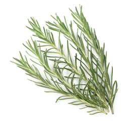 fresh Immortelle isolated on white background, top view