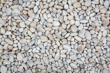 White round pebbles laid on the floor as an image for making the background.