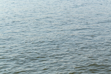 Fototapeta premium water wave surface in lake. Background of wave in river.
