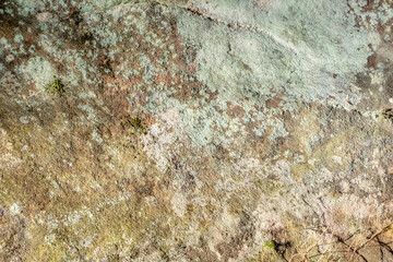 sandstone rocks with moss and lichen overgrown as background