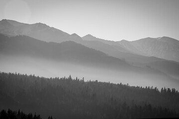 Monochrome view of Tatra National Park, Poland. The peaks of High Tatras in an afternoon sunlight. Smog is in the air. Selective focus on the trees, blurred background.