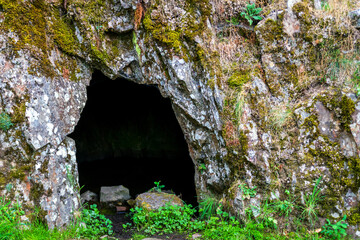 Landscape with cave and forest. Scenic entrance to cave. Rock wall with a dark hole