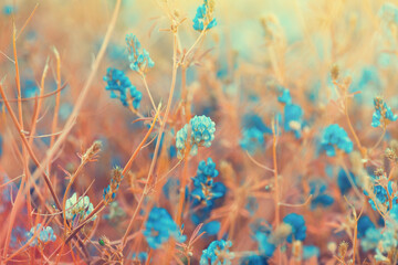 small beautiful blue spring summer wild small flowers field, sunny meadow, vintage background