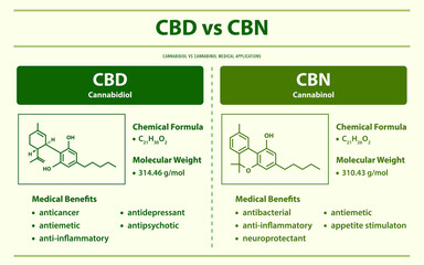 CBD vs CBN, Cannabidiol vs Cannabinol horizontal infographic illustration about cannabis as herbal alternative medicine and chemical therapy, healthcare and medical science vector.