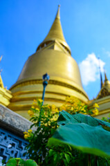 Fototapeta premium The view of the Grand Palace in Bangkok in Thailand showing the temple and its surroundings
