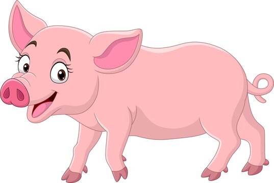 Cartoon funny pig on white background