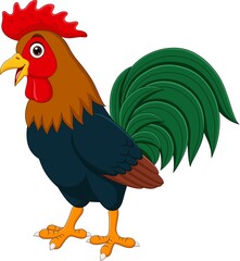 Cartoon funny rooster on white background
